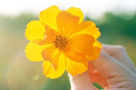 分享几个免费在线听音乐的网站-安卿辰博客