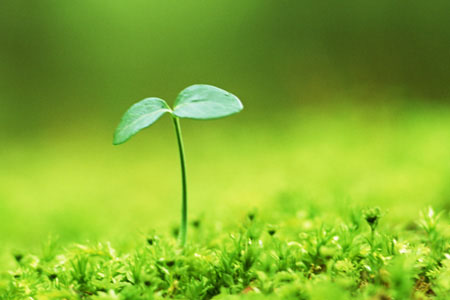 论坛邀请码-安卿辰博客