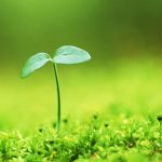 IDM软件-安卿辰博客