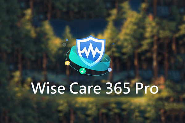 Wise Care 365 Pro v7.3.5 绿色精简单文件优化版-安卿辰博客