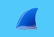 Wireshark 4.6.6/4.7.1 中文便携版 网络抓包工具-安卿辰博客