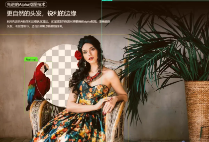 智能抠图 Matting2.6 一键快速抠图 PS 修图影楼设计 AI 抠图工具-安卿辰博客