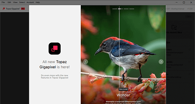 Topaz Gigapixel(图像超分辨率软件) v1.3.1 直装版-安卿辰博客