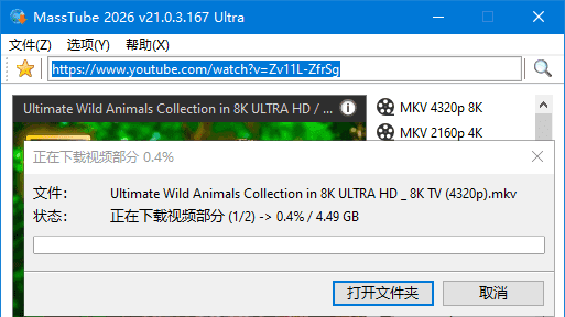 MassTube(YouTube视频下载工具) Ultra v22.1.2.219 多语便携版-安卿辰博客